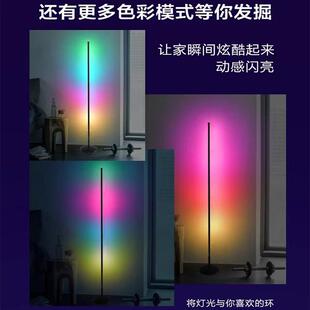 现代极简创意主卧室落地灯ins风LED客厅卧室床头柜幻彩氛围落地灯