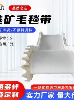 矿选毛毯机输送带 灰色白色毛毡传送带 无缝耐高温毛毡输送带厂家