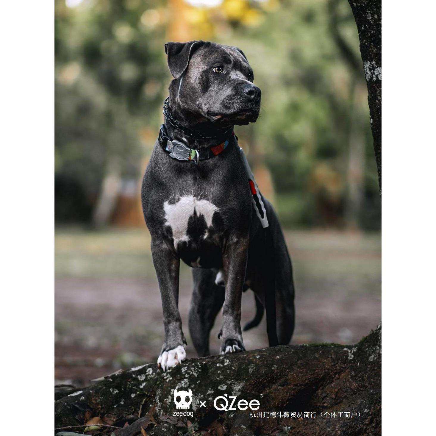 QZee狗狗项圈zeedog宠物可调脖圈小中大型犬遛金毛柯基法斗泰迪绳