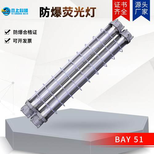 BAY 51 LED防爆荧光灯 防爆节能灯防爆条灯 防爆洁净荧光灯