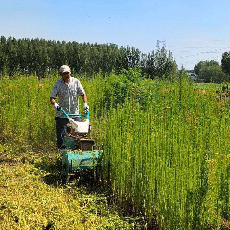 不怕草高自走式碎草还田机 果园园林轻松管理割草机 桃园除草机,农机/农具/农膜,割灌机/割草机/油锯,淘宝优惠券,粉丝福利购,淘宝优惠卷
