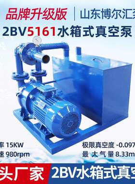 15kw水环式真空泵2BV5161液环水箱泵压缩机抽水装置箱精雕机