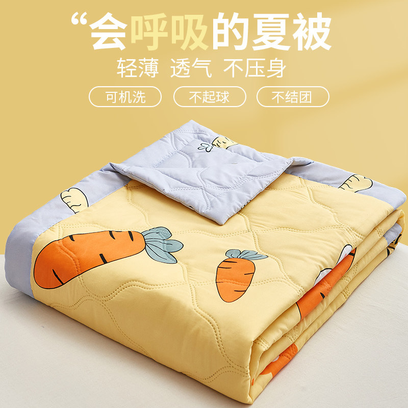 2024夏季新款夏被学生宿舍单人可机洗被子空调被非纯棉全棉夏凉被,床上用品,化纤被,淘宝优惠券,粉丝福利购,淘宝优惠卷