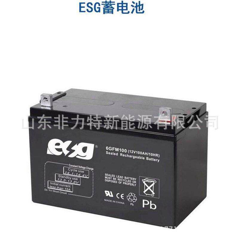 ESG蓄电池6GFM100 12V100AH 光伏发电 基站储能 配电柜 UPS/EPS电