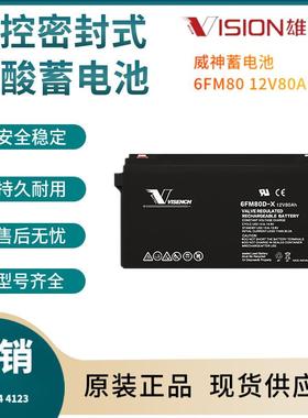 威神蓄电池6FM80 12V80AH 通讯电源 航海设备 便携式设备