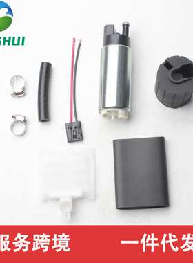 GSS342 255LPH GSS341 GS340适用于汽车燃油泵套装