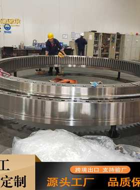 大型回转支承  132.50.4000 港口起重机转盘轴承  回转大轴承