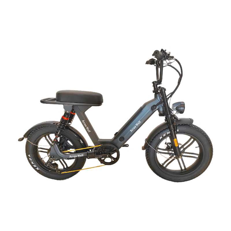 设计电动自行车助力山地电动车雪地折叠双驱电瓶车