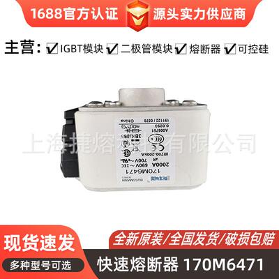 170M6471 170M6498 快速熔断器 保险丝 电子元器件 量大价优