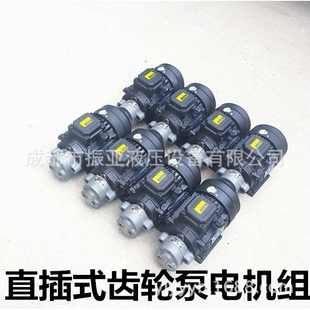 40齿轮泵CB B40 B50 WBZ 油泵电机组装 B63JZ卧式 置2.2KW3KW