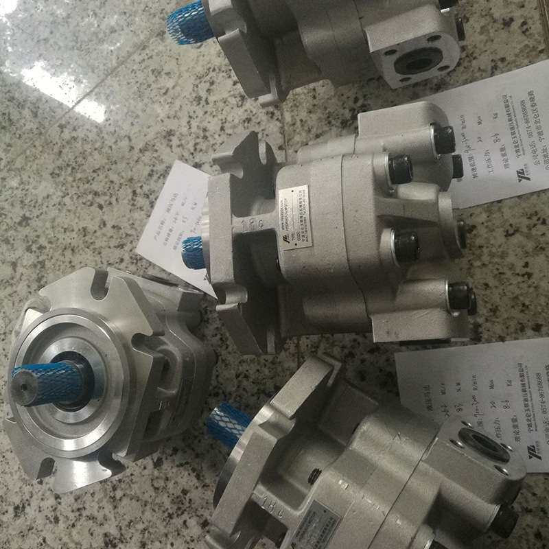 厂家提供马 扇叶用高速齿轮油马达YGMC4-30