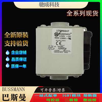 巴斯曼170M6650 170M6651 170M6652 经销 出厂价格 快速熔断器
