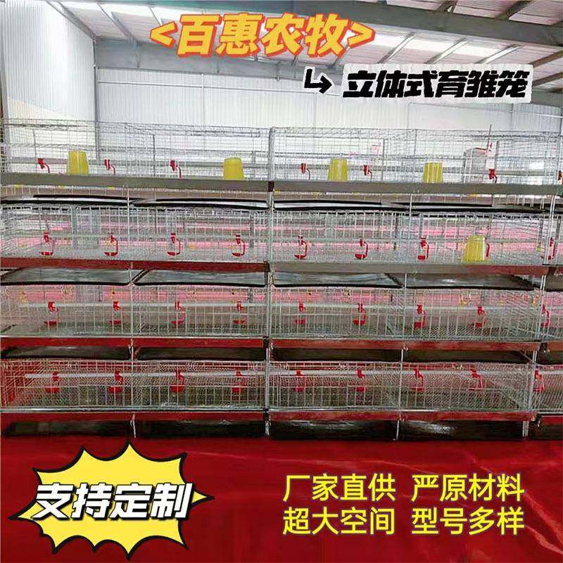 育雏鸡笼四层立体式小鸡笼高密度镀锌防锈防跑鸡养殖设备鸡舍,畜牧/养殖物资,特种养殖设备,淘宝优惠券,粉丝福利购,淘宝优惠卷