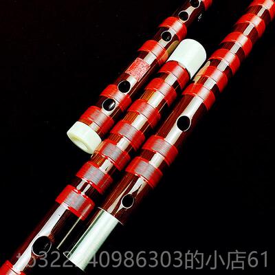 正品丁自林典藏笛苦竹笛高档笛子竹笛专业演奏级横E乐器精制GA调F