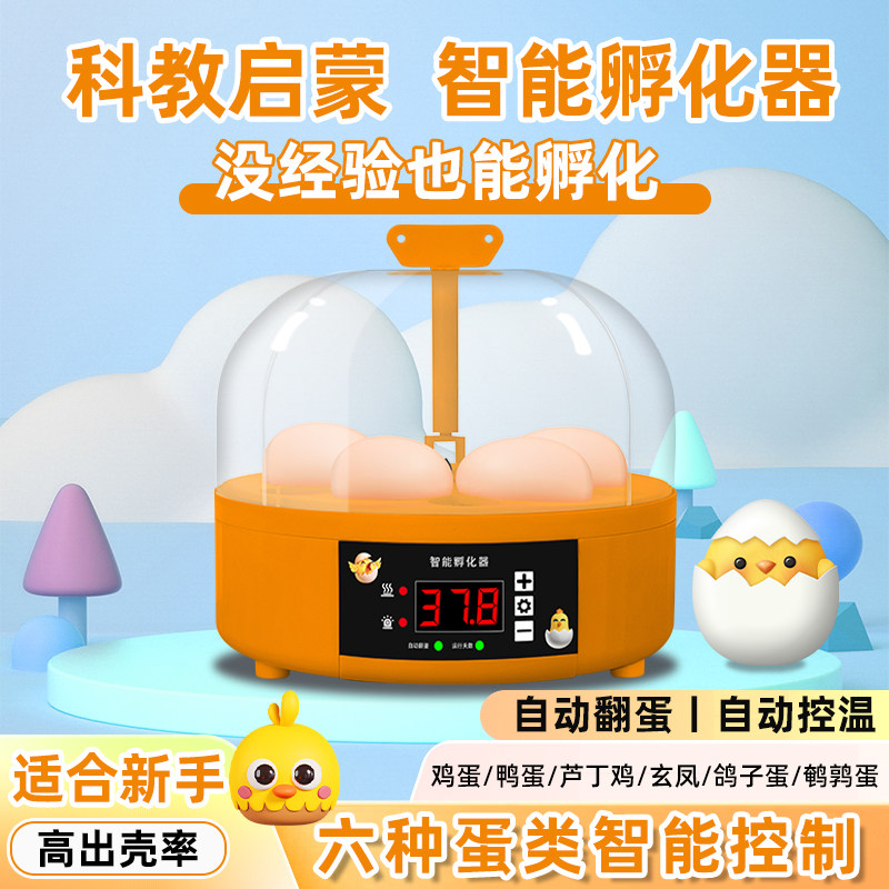 孵蛋器小型家用智能孵化机全自动恒温孵芦丁鸡小鸡鹦鹉水床孵化箱