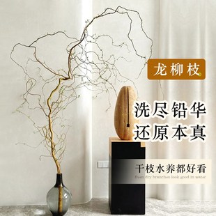 龙柳枝条树枝树干装饰室内高级感侘寂风天然真干花摆件插花干鲜枝