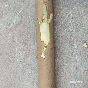 白蜡杆大锤把锤柄厂家带皮白腊棍洋镐柄木柄锤柄榔头柄八角锤