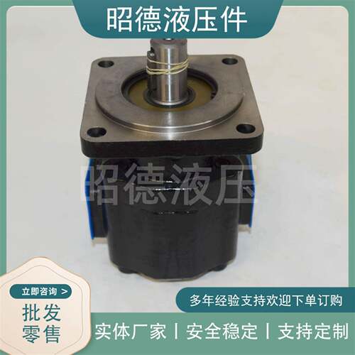 效率高履带式坑道钻机齿轮泵扒渣机吊车齿轮油泵