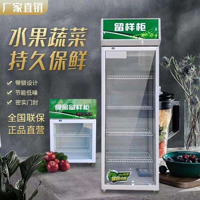 幼儿园食品留样专用柜饮料冷柜留样冰箱小型家商用冷藏展示柜带锁