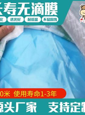 农用大棚膜 PE长寿流滴淡蓝色抗老化蔬菜膜西瓜膜防膜无滴膜双膜