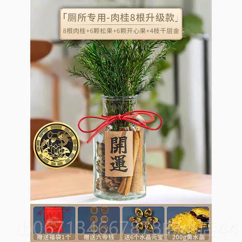 高档招肉桂生玻璃瓶子摆件财进宝办公室工装饰摆财件生日位礼物送