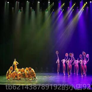 高档稻花香两岸演服吹红色记忆出典舞蹈服致敬袁经隆平风稻花香群