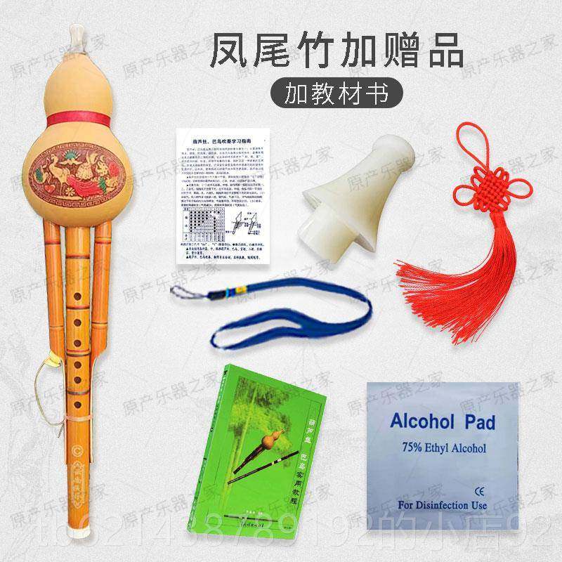 高档纯天然紫竹葫芦丝者小学生特殊儿童入C调降B调学初成人门乐器