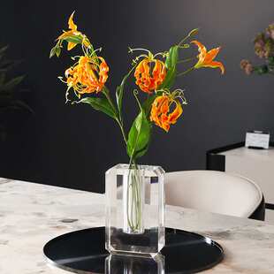 欧式轻奢K9水晶花瓶客厅餐桌玄关装饰高级感花瓶摆件插花小花瓶