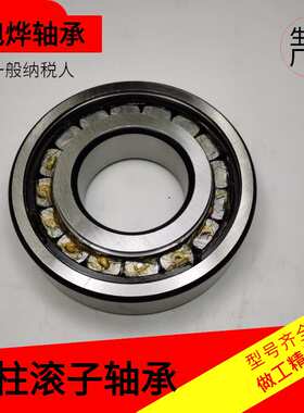 二类圆柱滚子轴承 NCL309-2RS 满装圆柱滚子密封轴承 替代6309