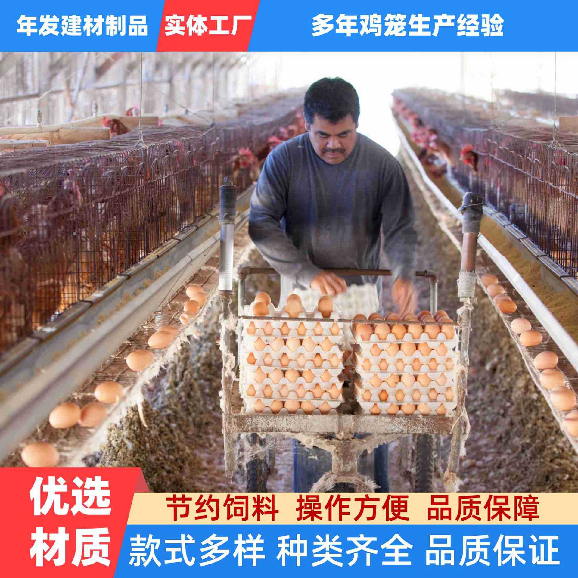 广东实体厂家出口品质育雏笼蛋鸡笼三层四门四层立体式家用肉鸡笼