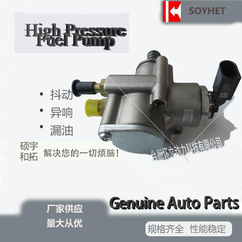汽车高压燃油泵适用于奥迪R8大众辉腾途锐OE号079127026AA厂家