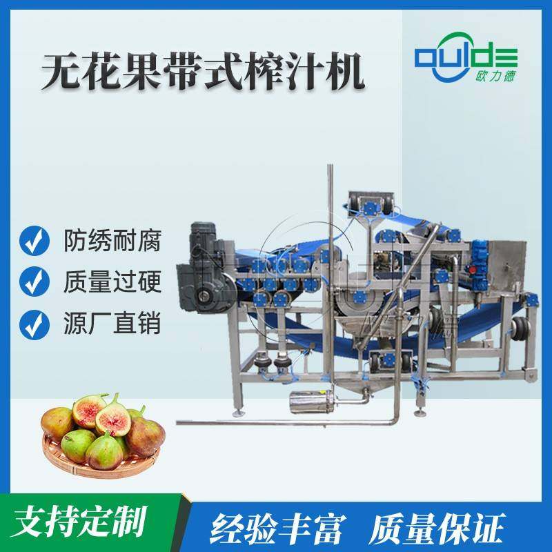 厂家直销全自动工业果蔬榨汁机不锈钢蔬菜水果无花果带式压榨机,清洗/食品/商业设备,其他食品加工设备,淘宝优惠券,粉丝福利购,淘宝优惠卷