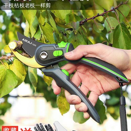 德国精工剪枝剪刀园艺剪树枝修枝剪花剪园林花艺省力粗枝剪子耐用