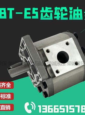 液压齿轮油泵CBT-E520 E525 E532 E540 E550 E563 E580-BFHL BFPR