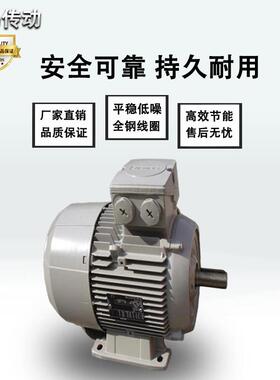 供应德国LAMMERS电机MEZ系列鼠笼式三相异步电动机