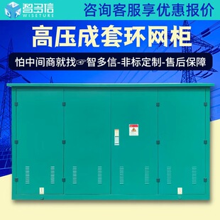10kv高压环网柜HXGN15-12开闭所SF6充气柜成套开关柜电缆分支箱