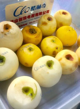 脆柿子削皮去皮设备水梨削皮机多种圆果均可刮皮水果董桃刨皮机