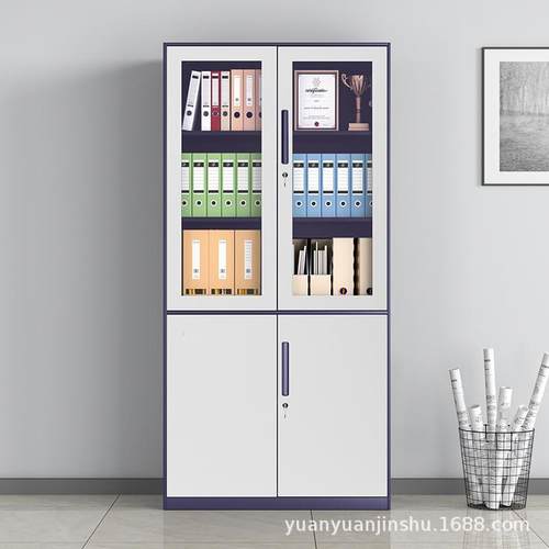 钢制窄边办公室文件柜书柜铁皮柜矮柜档案资料财务凭证带锁储物柜