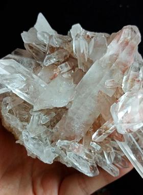 天然白水晶簇共生矿红胶花小矿标摆件教学消磁原石奇石