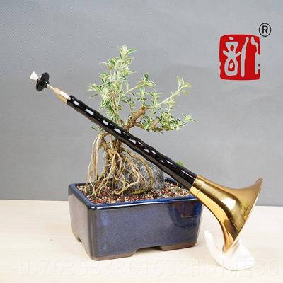 高档八音唢呐初学者专乐器套业乌木黑檀D调降B红木务喇叭吹服紫全