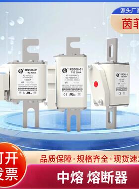 RS306-01-T5Z40A50A63A80A100A110A125A西安中熔熔断器