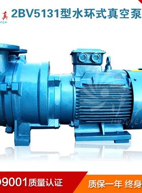 上海液环真空泵 循环水11KW工业多用途2BV5131水环式真空泵厂家