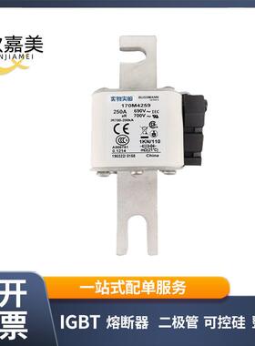 170M4259 170M4260 快速熔断器 电子元器件 库存充足 量大价优