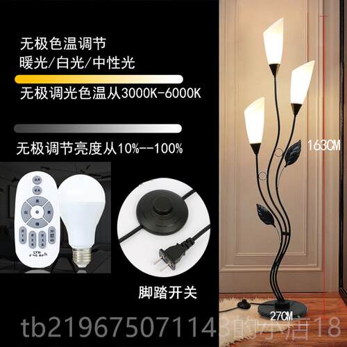 高档代简约立式现地落灯北欧客摆厅沙发旁智能遥控氛围件书房卧室