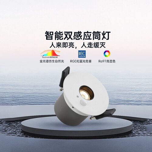 德国柏曼防眩护眼嵌入式筒灯玄关走廊智能双重感应洗墙灯