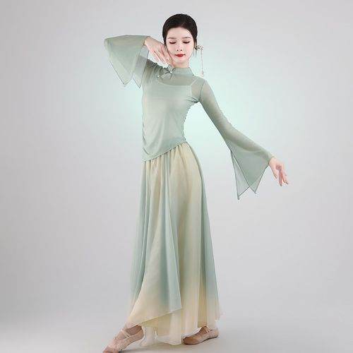 古典舞舞蹈服2024新款弹力网纱飘逸纱衣练功服中国舞民族演出服装