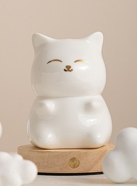 蔡小白台灯床头灯喵喵少女礼物氛围灯浪漫卧室睡眠充电小夜灯摆件