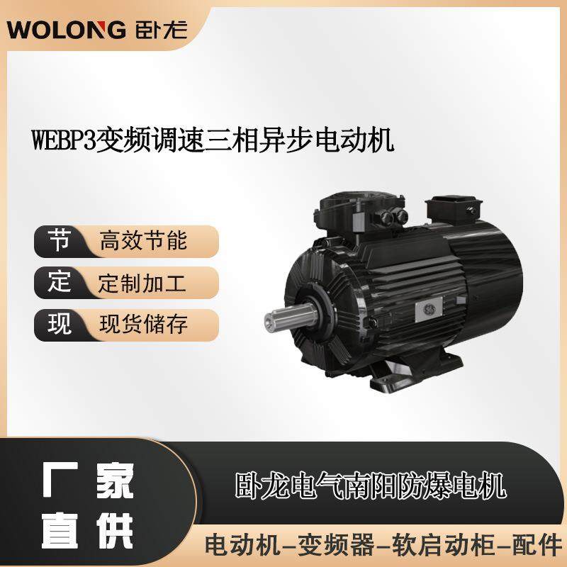WEBP3变频调速三相异步电动机防爆步进电机厂家防爆伺服电机