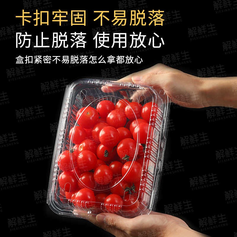 一次性水果包装盒一斤装透明带盖500M塑料盒车厘子西瓜草莓打包盒