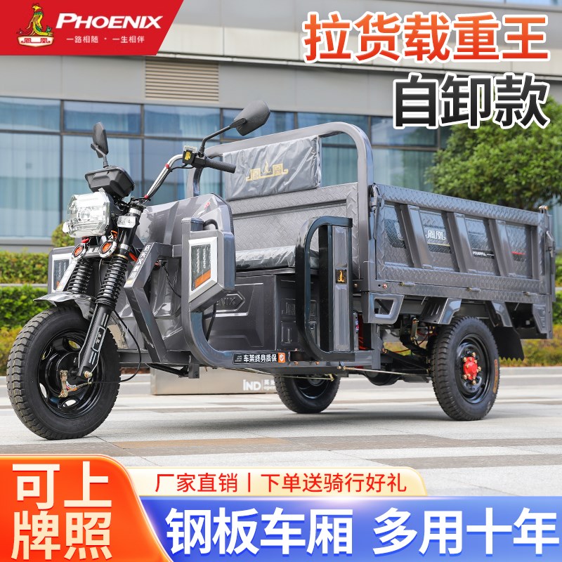 凤农牌自卸电动三轮车载子拉货家用凰用货车快递接送孩重电瓶车